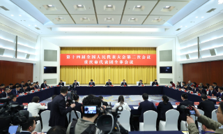 【视频】重庆市代表团举行开放团组活动 袁家军指要落实新质生产力