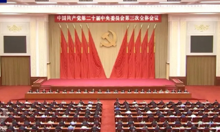 【视频】中央宣讲团下周一到港讲解三中全会精神 港府吁踊跃收看