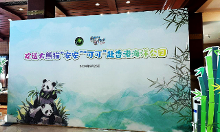 【视频】杨润雄：中央再赠大熊猫意义重大 香港全城一片喜气洋洋