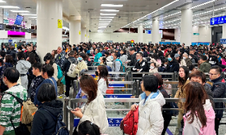 【视频】港府：除夕逾15万6千入境旅客人次访港 内地旅客占77%