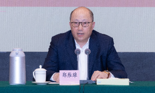 【视频】郑雁雄：站在政治和全局高度 把握好香港角色